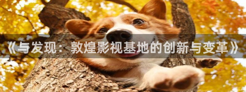 麦田影视网官网入口：《与发现：敦煌影视基地的创新与变革》