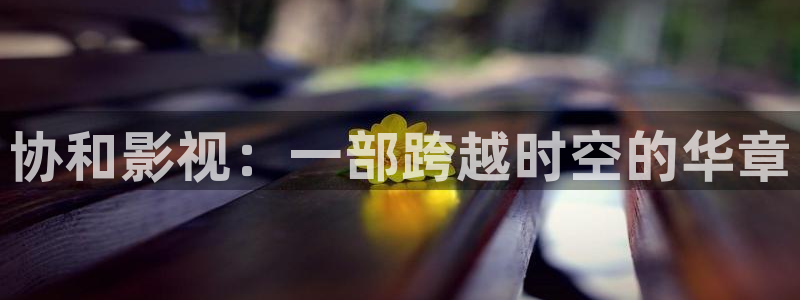 麦田电影院：协和影视：一部跨越时空的华章