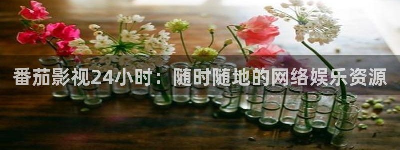 麦田电影院：番茄影视24小时：随时随地的网络娱乐资源