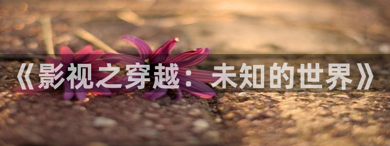 麦田影视网官网入口：《影视之穿越：未知的世界》
