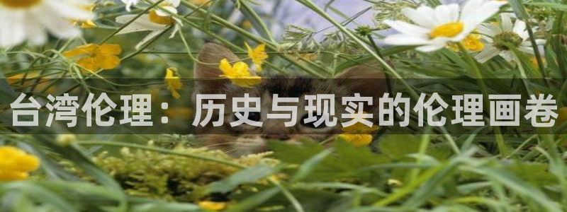 麦田视觉：台湾伦理：历史与现实的伦理画卷
