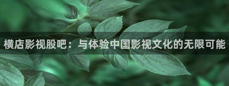 沂水九州麦田影城：横店影视股吧：与体验中国影视文化的无限可能