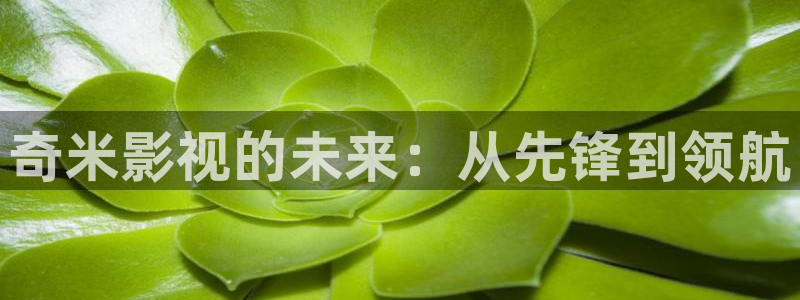 麦田影院电视剧在线看：奇米影视的未来：从先锋到领航