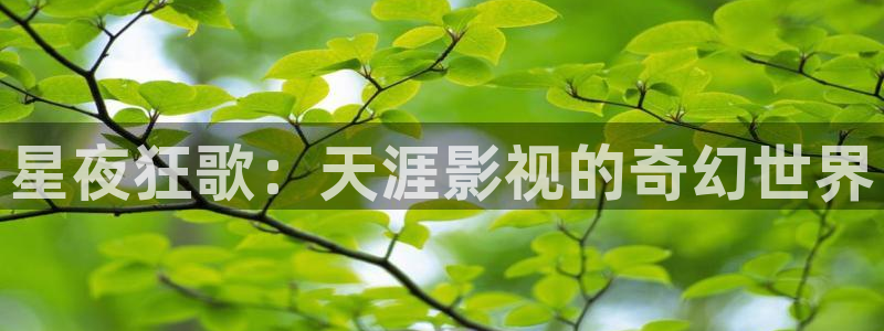 沂水九州麦田影城：星夜狂歌：天涯影视的奇幻世界